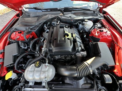 2019 Ford Mustang EcoBoost Premium