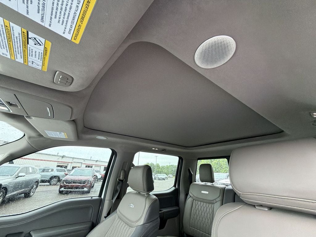 2024 Ford F-150 Platinum