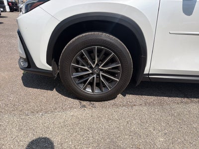 2023 Lexus NX 350 Premium