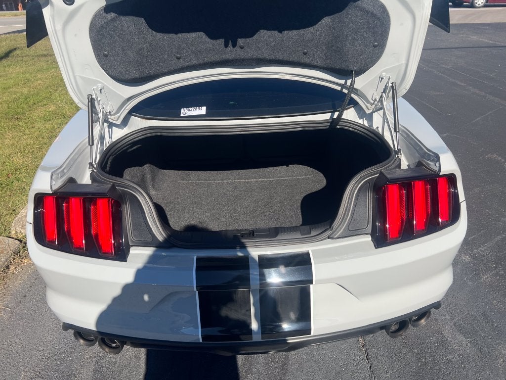 2017 Ford Mustang Shelby GT350