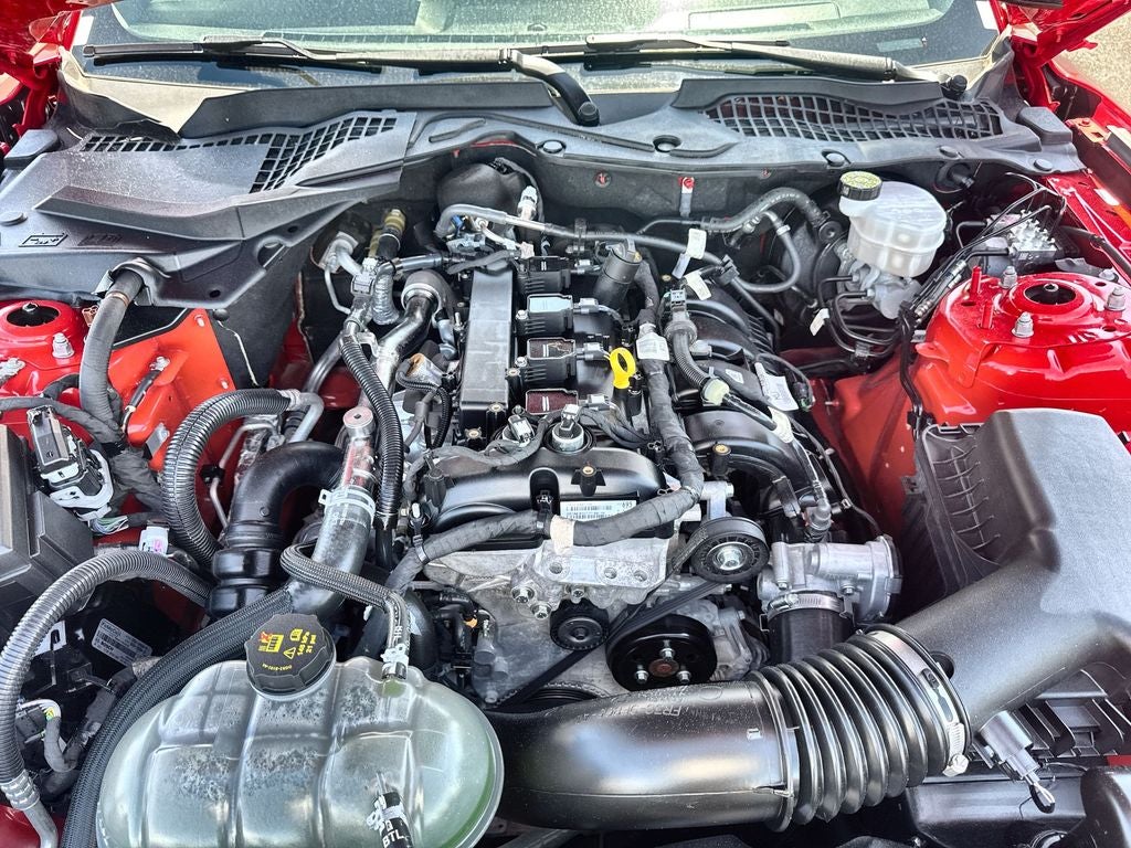 2022 Ford Mustang EcoBoost