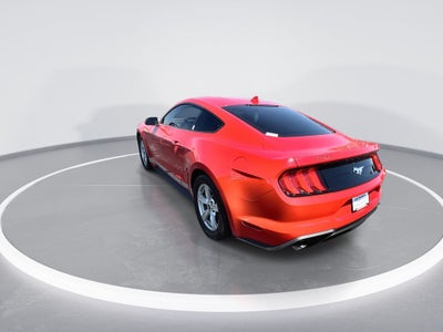 2022 Ford Mustang EcoBoost