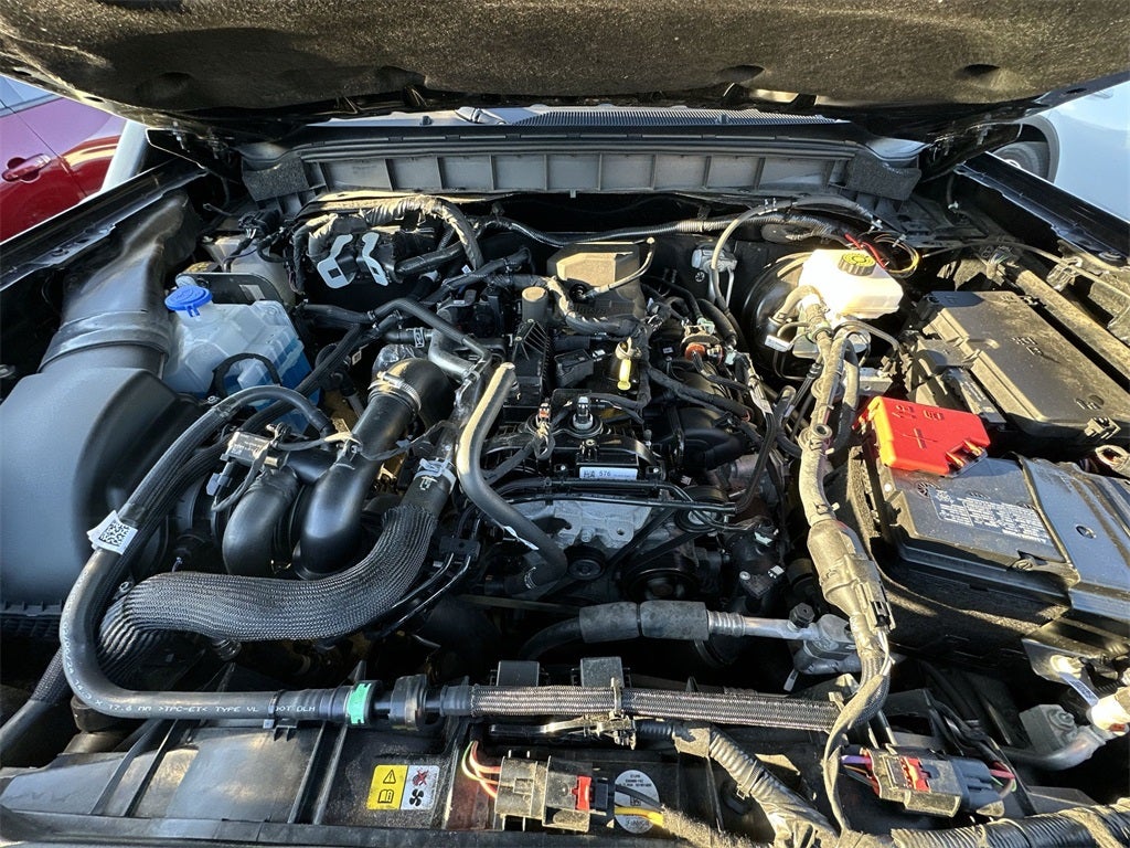 2024 Ford Bronco Everglades