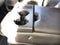 2019 Ford F-450SD XL DRW ULITITY WORK BED