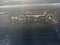2025 Chevrolet Silverado 2500HD High Country