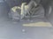 2024 Jeep Wrangler Rubicon 4xe