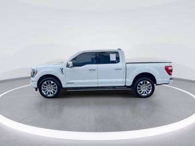 2023 Ford F-150 Limited