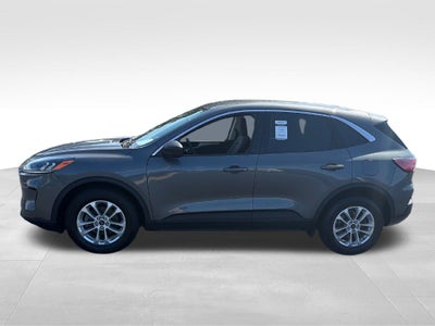 2022 Ford Escape Hybrid SE