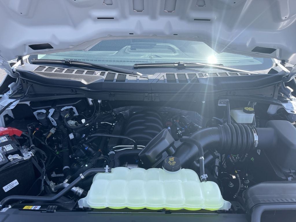 2024 Ford F-150 XL