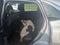2023 Ford Escape Hybrid Active