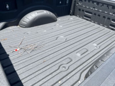 2020 Ford F-250SD Platinum