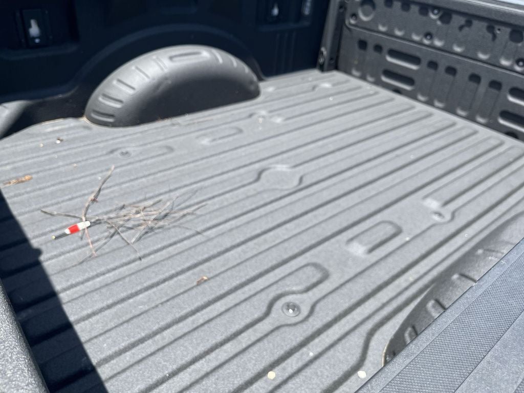 2020 Ford F-250SD Platinum